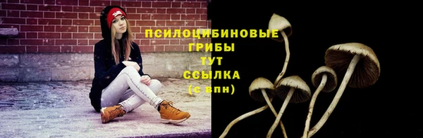 мет Баксан